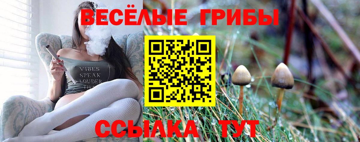 Галлюциногенные грибы Psilocybine cubensis  Вход с VPN  Сибай  Галлюциногенные грибы Cubensis 